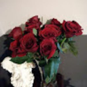 Meet your Posher, Phyllis